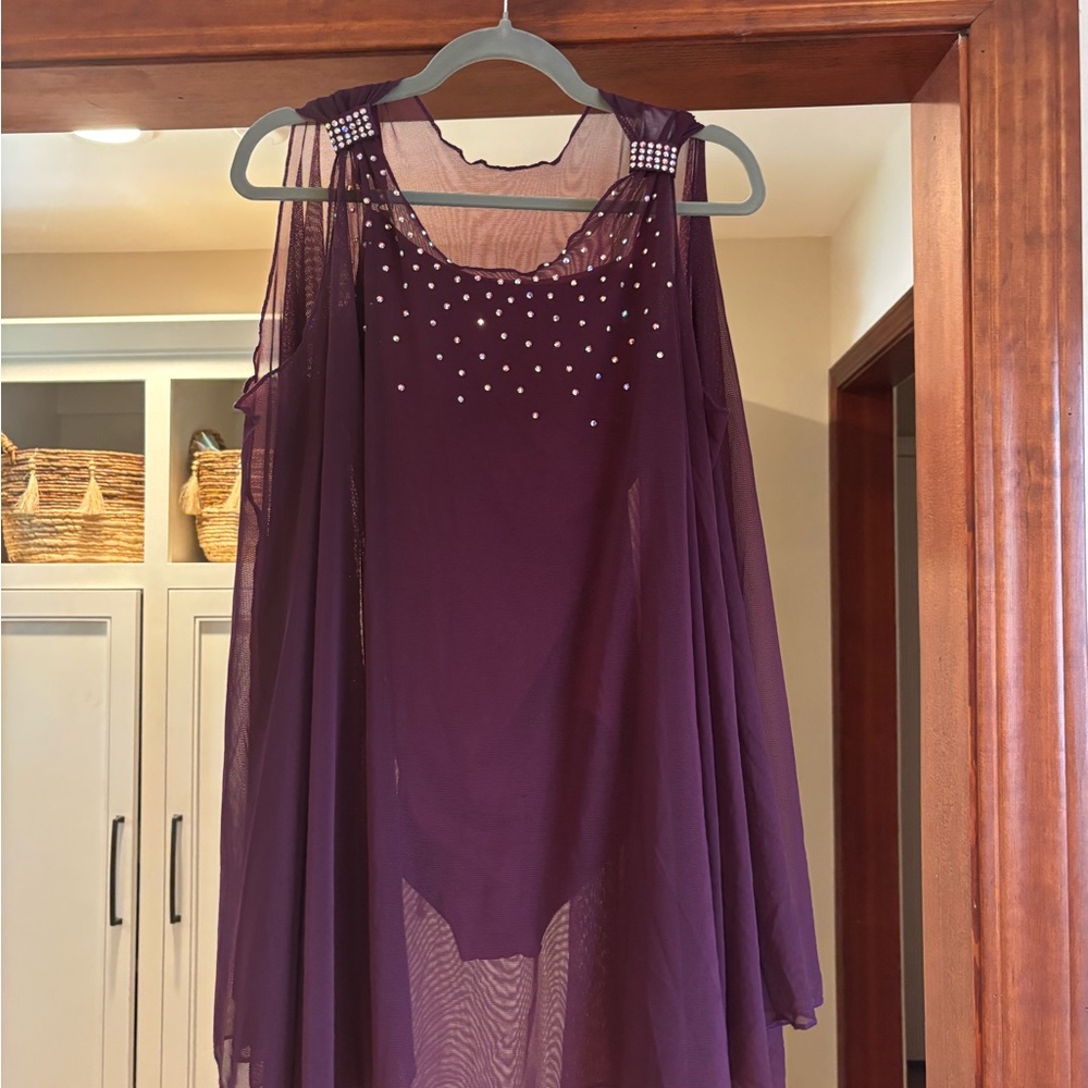 Deep purple rhinestoned sheer dress and magenta leotard